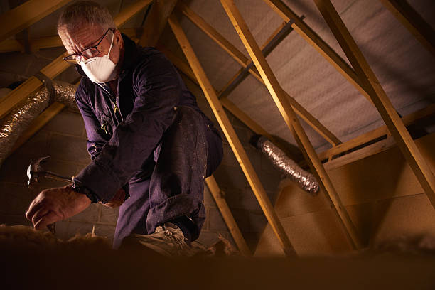 Best Insulation Maintenance and Repair in Eddington, PA